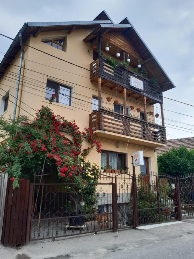 Pensiunea Cristiana 쿠티에데아게스 외부 사진